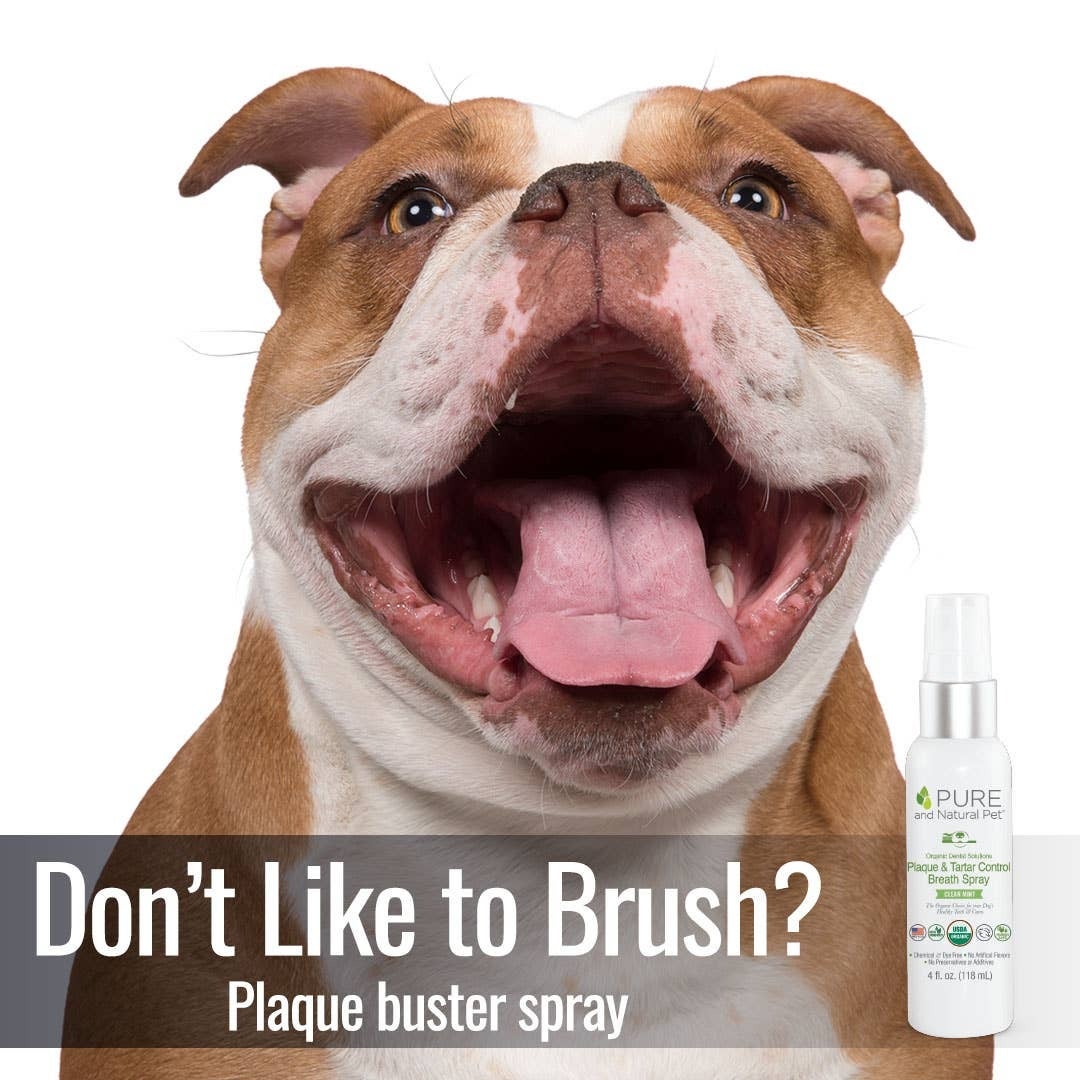 Natural dog breath spray best sale